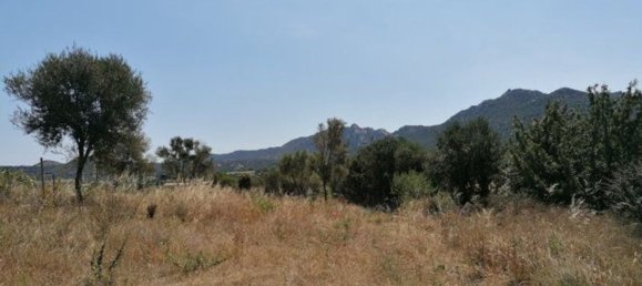 4 rooms House in Olbia, Italy No. 222889 7