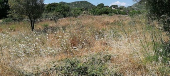 4 rooms House in Olbia, Italy No. 222889 5