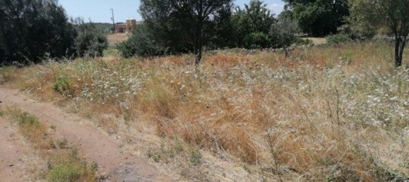 4 rooms House in Olbia, Italy No. 222889 4