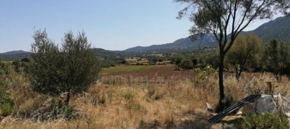 4 rooms House in Olbia, Italy No. 222889 9