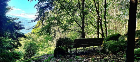 5 Schlafzimmer Haus in Vieira do Minho, Portugal, Nr. 184583 17