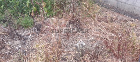 Land in Sangalhos, Portugal No. 158217 9