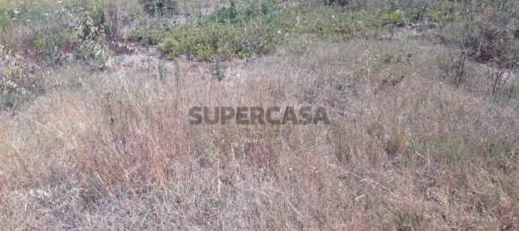 Land in Sangalhos, Portugal No. 158217 12