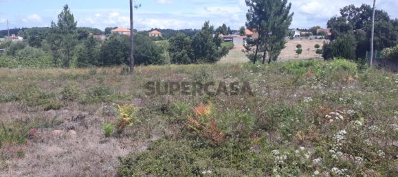 Land in Sangalhos, Portugal No. 158217 11