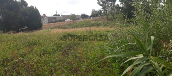 Land in Sangalhos, Portugal No. 158217 2