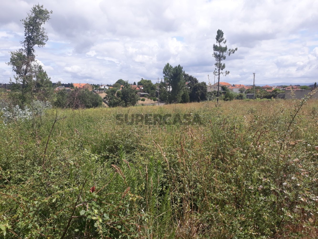  Land in Sangalhos, Portugal No. 158217