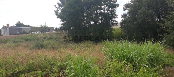 Land in Sangalhos, Portugal No. 158217 3