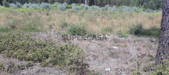 Land in Sangalhos, Portugal No. 158217 10