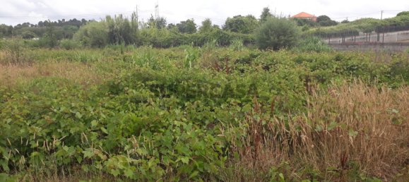 Land in Sangalhos, Portugal No. 158217 6