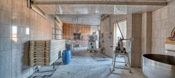 1 Schlafzimmer Haus in Santarem, Portugal, Nr. 184404 5