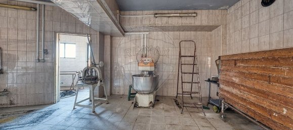 1 Schlafzimmer Haus in Santarem, Portugal, Nr. 184404 4