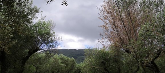 Propriété commerciale à Zakynthos, Greece 350m² No. 54491 15