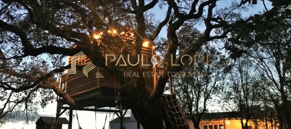 26 bedrooms Hotel in Sao Teotonio, Portugal No. 56479 35