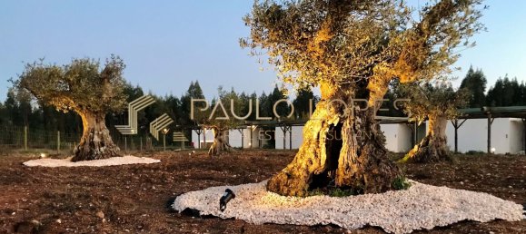 26 bedrooms Hotel in Sao Teotonio, Portugal No. 56479 26