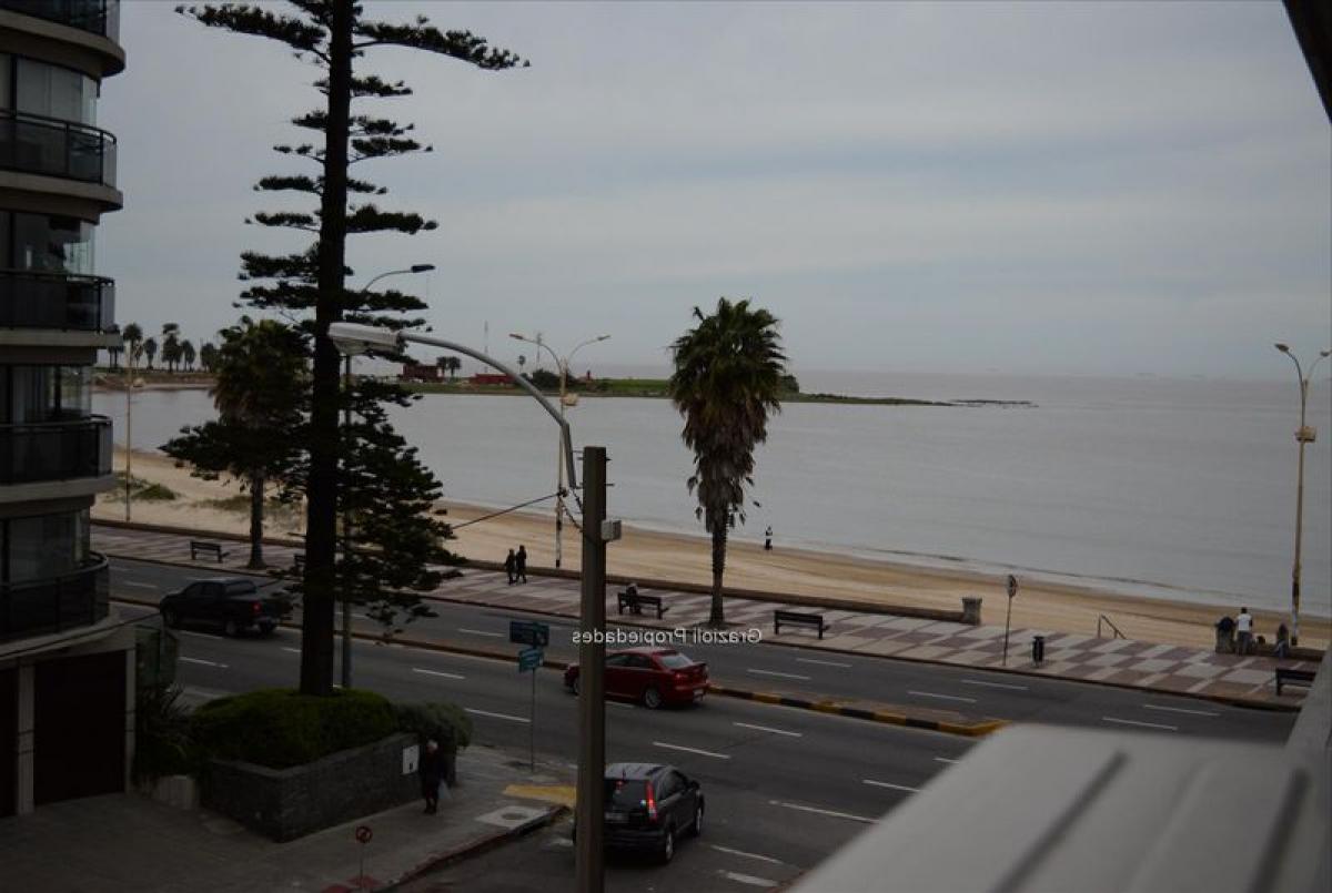3 bedrooms Apartment in Montevideo, Uruguay No. 5544