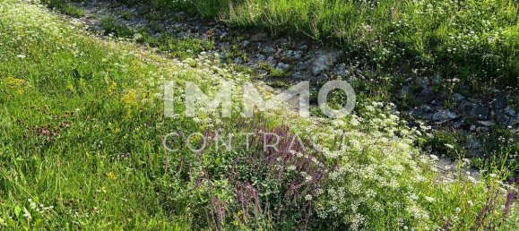 1642m² Land in Langenlois, Austria No. 43661 9