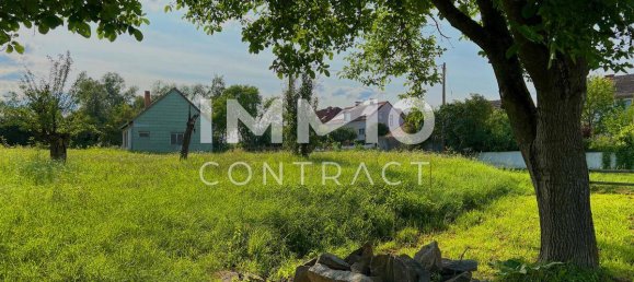 1642m² Land in Langenlois, Austria No. 43661 10