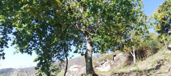 3 غرف نوم منزل في Valdreu, Portugal رقم 180253 19