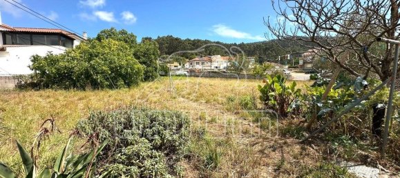 7 Schlafzimmer Haus in Viana do Castelo, Portugal, Nr. 301192 5