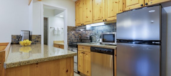 Кафе / ресторан с 1 спальней в Вейл, США № 255 8