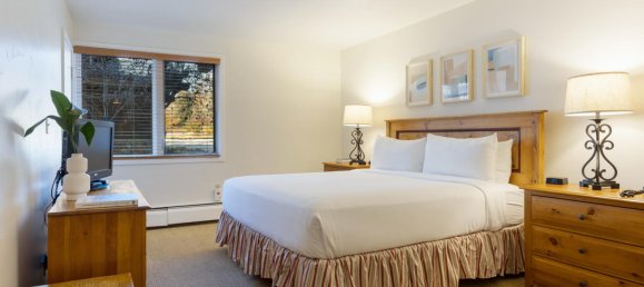 Кафе / ресторан с 1 спальней в Вейл, США № 255 11