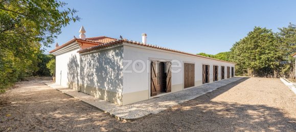 Casa de 4 dormitorios en Santarem, Portugal No. 132874 28