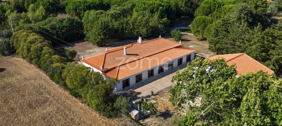 Casa de 4 dormitorios en Santarem, Portugal No. 132874 46
