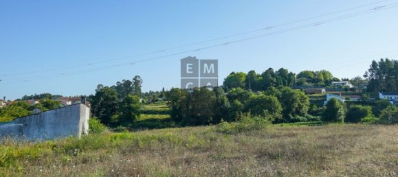 Земельный участок 10000м² в Санта Мария да Фейра, Португалия № 73586 3