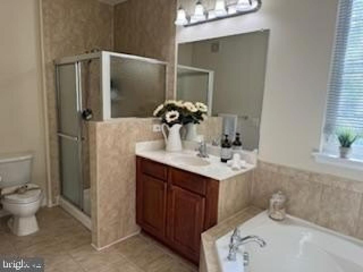 2 bedrooms House in Gainesville, USA No. 396197