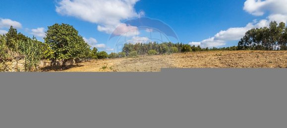 4 bedrooms House in Rio Maior, Portugal No. 30628 7