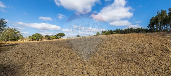 4 bedrooms House in Rio Maior, Portugal No. 30628 6