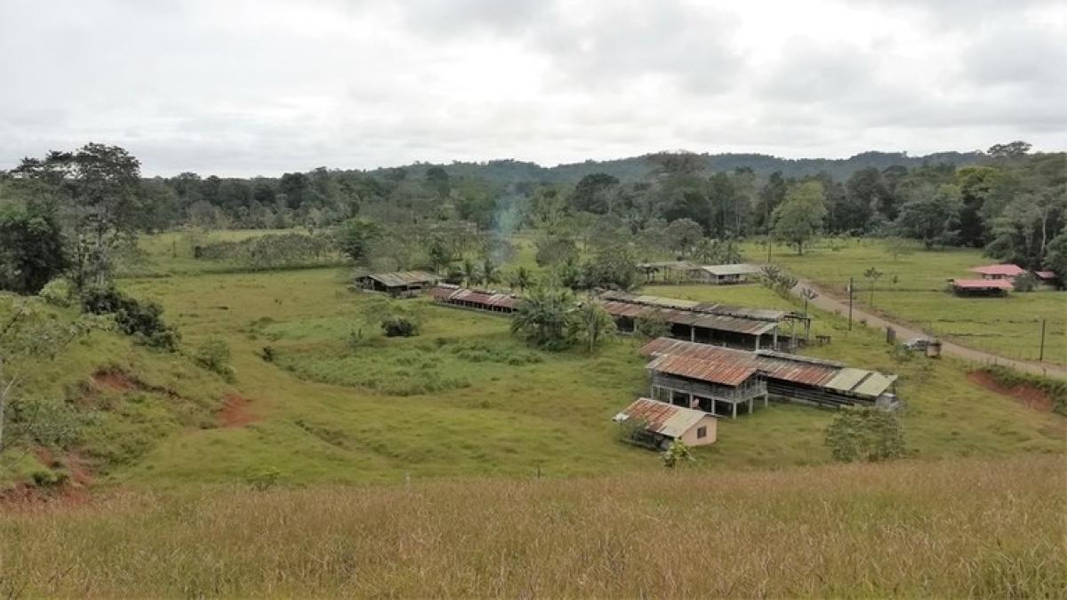  قطعة أرض في Puerto Viejo, Costa Rica رقم 1847