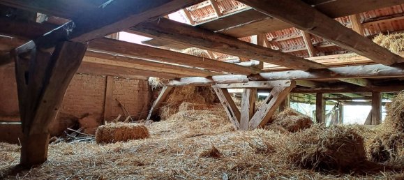 Дом с 5 комнатами в Верра-Майснер, Германия № 173946 21