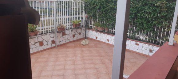 3غرفة شقة في San Nicola Arcella, Italy رقم 150647 18