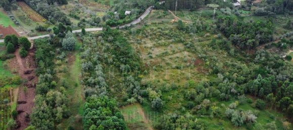 Grundstück in Coimbra, Portugal 9700m², Nr. 74574 2