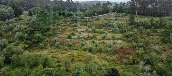 Grundstück in Coimbra, Portugal 9700m², Nr. 74574 12