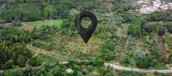 Grundstück in Coimbra, Portugal 9700m², Nr. 74574 11