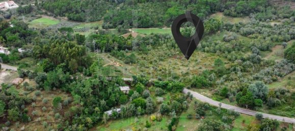 Grundstück in Coimbra, Portugal 9700m², Nr. 74574 9