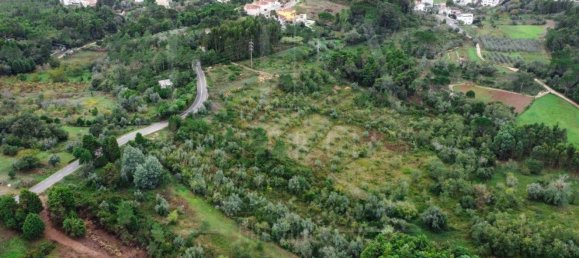 Grundstück in Coimbra, Portugal 9700m², Nr. 74574 5