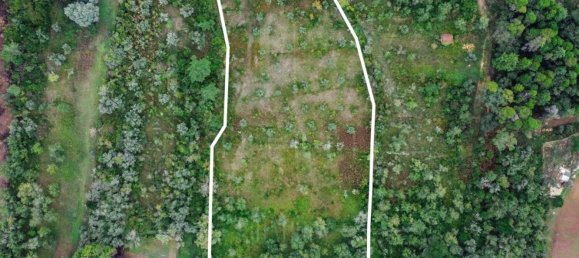 Grundstück in Coimbra, Portugal 9700m², Nr. 74574 3