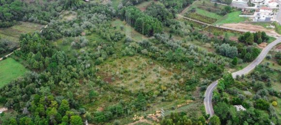 Grundstück in Coimbra, Portugal 9700m², Nr. 74574 13