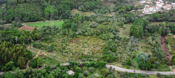Grundstück in Coimbra, Portugal 9700m², Nr. 74574 10