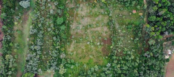 Grundstück in Coimbra, Portugal 9700m², Nr. 74574 4