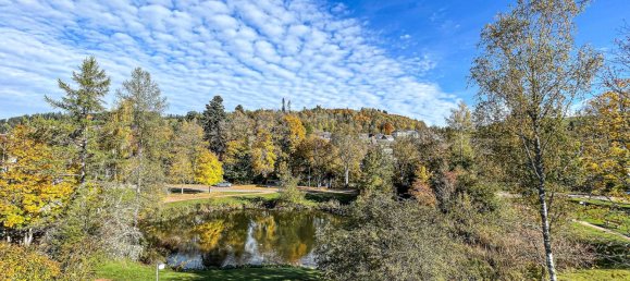 Apartamento T1 em Baden-Wurttemberg, Germany N.º 110457 6