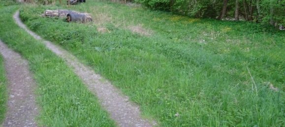 Terrain à Altenfelden, Austria No. 130763 3