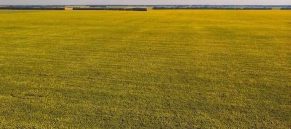 Terrain à Pordenone, Italy No. 346270 8