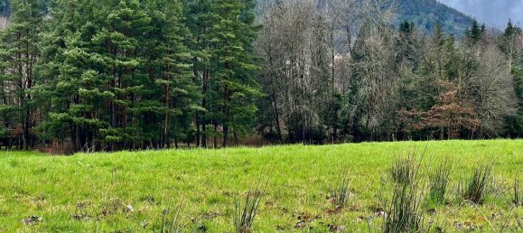 2174m² Land in Saint-Die-des-Vosges, France No. 58301 7