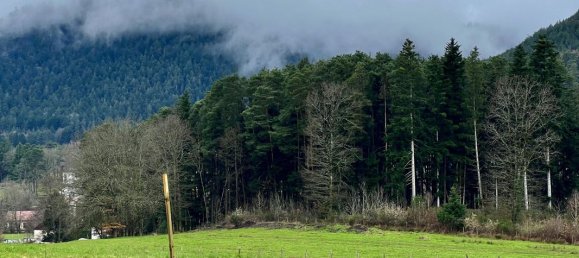 2174m² Land in Saint-Die-des-Vosges, France No. 58301 9