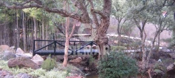 5 bedrooms House in Tarifa, Spain No. 165534 7