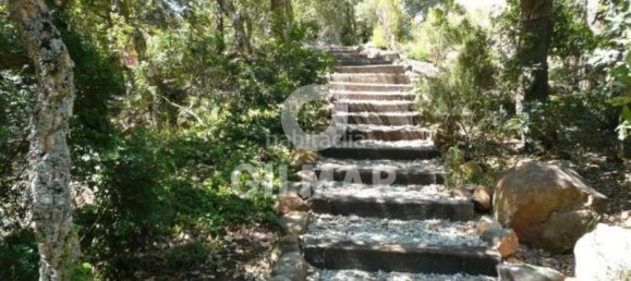 5 bedrooms House in Tarifa, Spain No. 165534 8